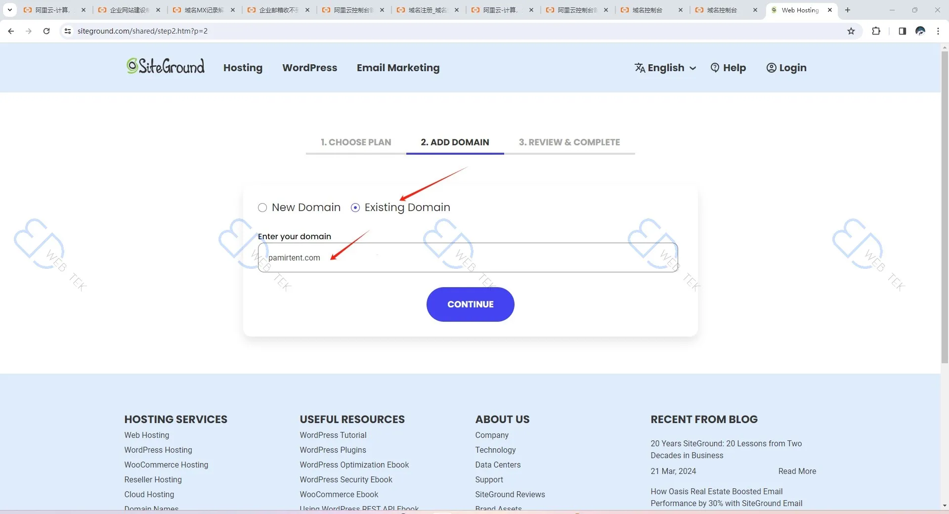 Entering domain information on SiteGround