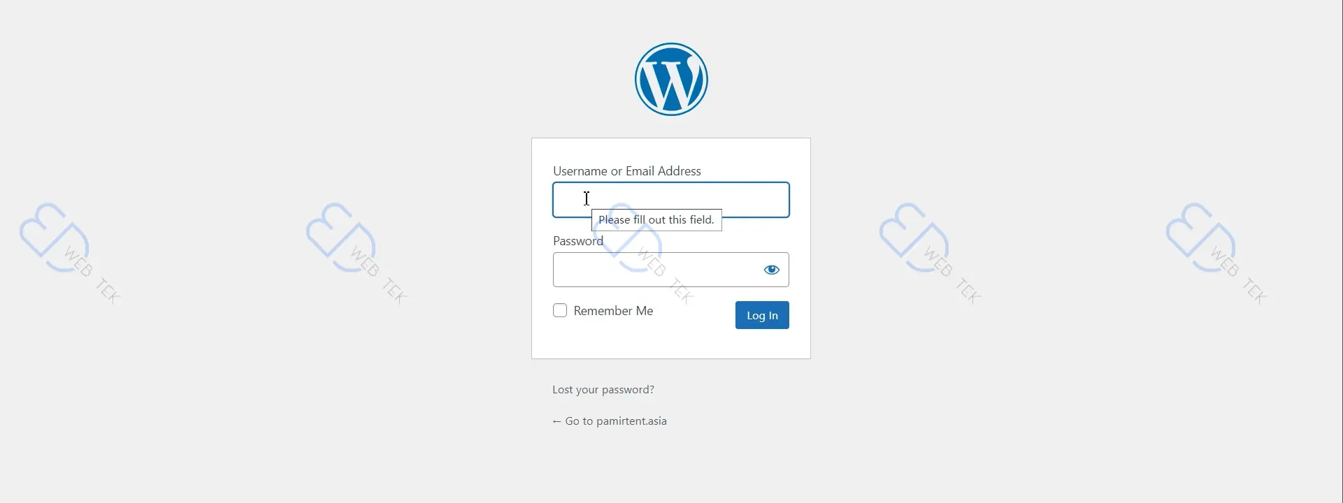 WordPress login form interface