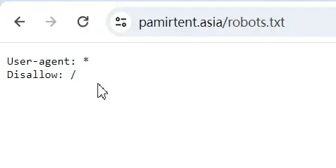 Verifying the robots.txt file in the browser