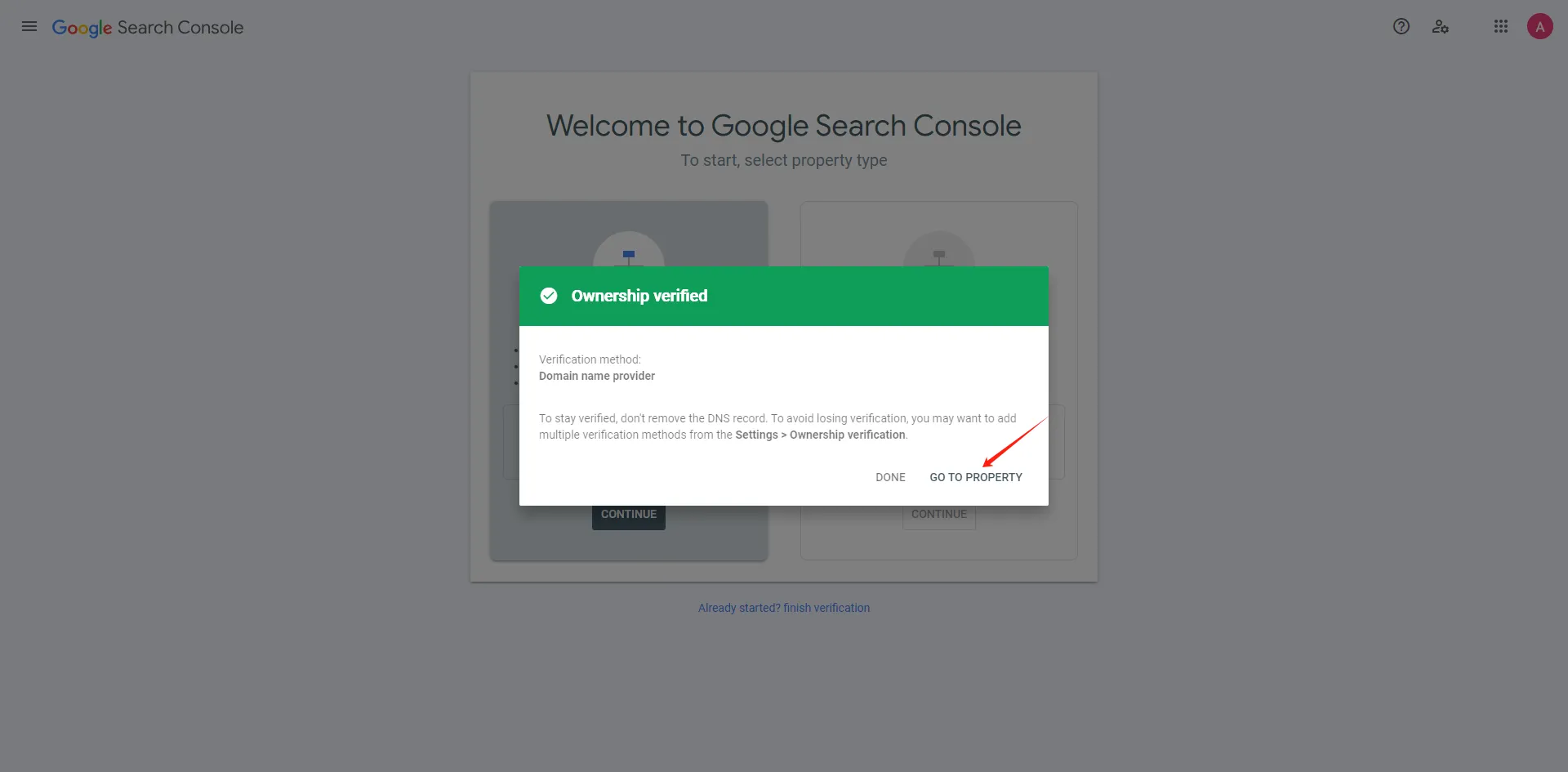 Domain ownership successfully verified in Google Search Console