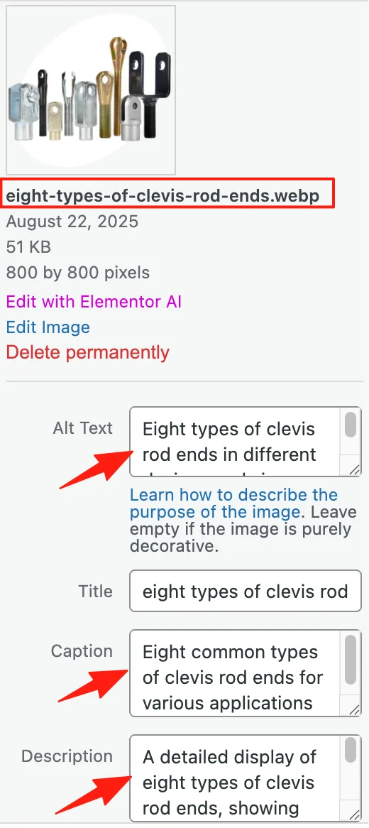 Example showing descriptive image name, alt text, caption and description fields