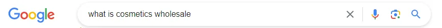 Google search results for what is cosmetics wholesale