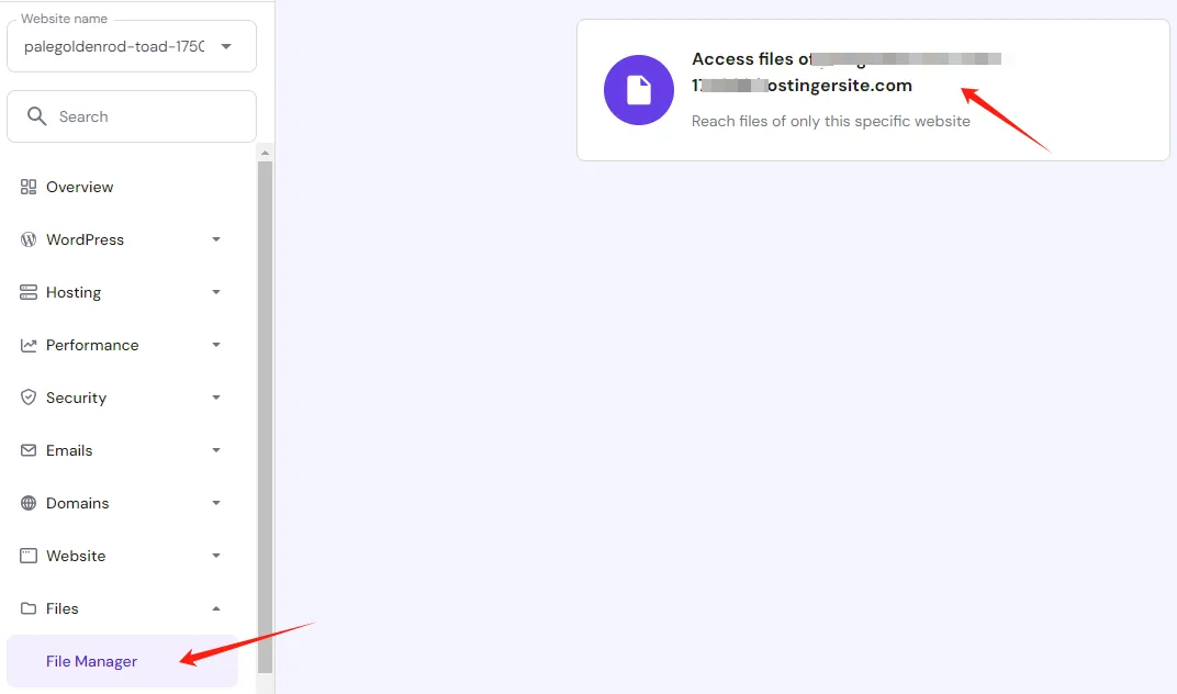 Hostinger File Manager access files