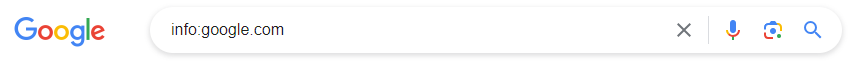 Google search operator info site.com