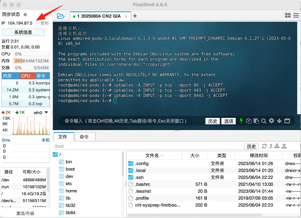 Server IP address